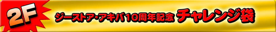 ジーストア・アキバ10周年記念　チャレンジ袋
