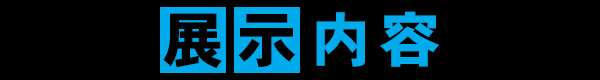 展示内容